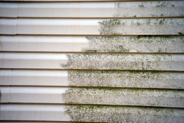 Best Hoarding Cleanup  in Keizer, OR